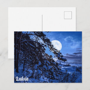 Moon over snowy fir tree and sea coast at night holiday postcard