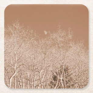 Moon Over the White Forest - Colorado Coaster