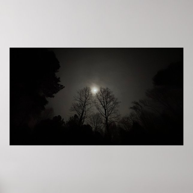Moon over Trees, poster (Front)