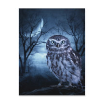 "Moon Owl" Postcard
