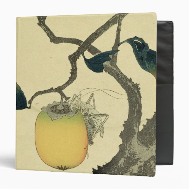 Moon, Persimmon and Grasshopper, 1807 Binder (Front/Inside)