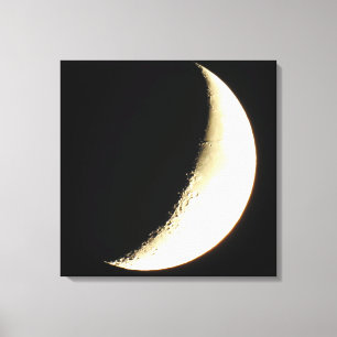 Moon Photography Art Canvas Print