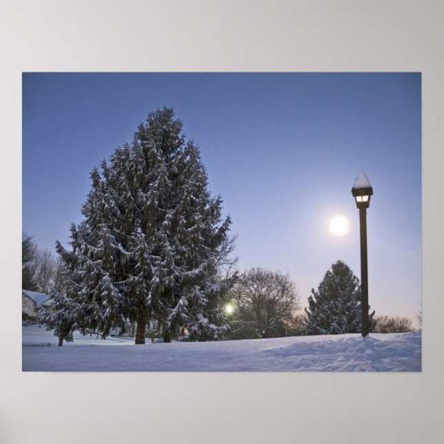 Moon Rise Poster (Front)