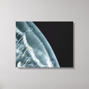Moon Rise Wrapped Canvas