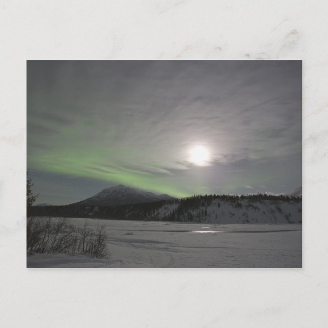 Moon rises over curtain of green aurora borealis postcard (Front)