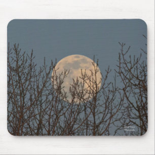 Moon Rising above the Trees   Mouse Pad