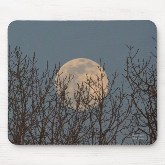 Moon Rising above the Trees   Mouse Pad (Front)