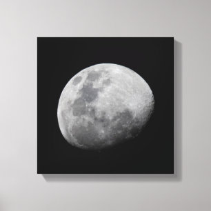Moon with Black Sky   Zambia, South Luangwa Canvas Print