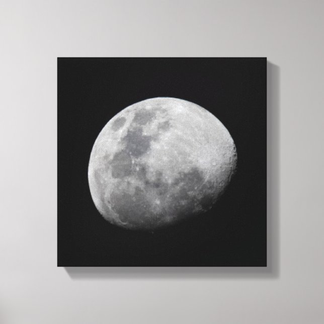 Moon with Black Sky | Zambia, South Luangwa Canvas Print (Front)