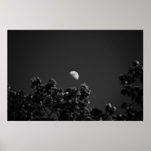 MoonB&W Poster