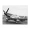 'Moonbeam McSwine' P51 Mustan, USAAF WW2