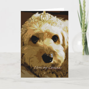 Mooncards, Cavapoo, princesse, carte de voeux