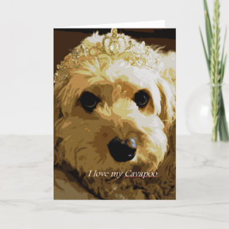 Mooncards, Cavapoo, princesse, carte de voeux