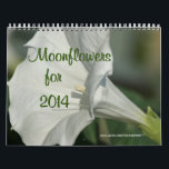 Moonflower Calendar-EDIT YEAR as needed Calendar<br><div class="desc">Moonflowers have the most exotic fragrance as well as being uniquely beautiful. Enjoy seeing moonflowers every day with this calendar or buy several for gifts. You can personalize them if desired--noting special dates or birthdays if you wish. To see matching moonflower items including cards, stamps, mugs, t-shirts and more- go...</div>