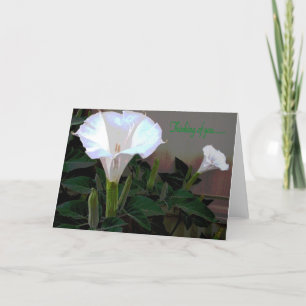 Moonflower Thinking of You Card