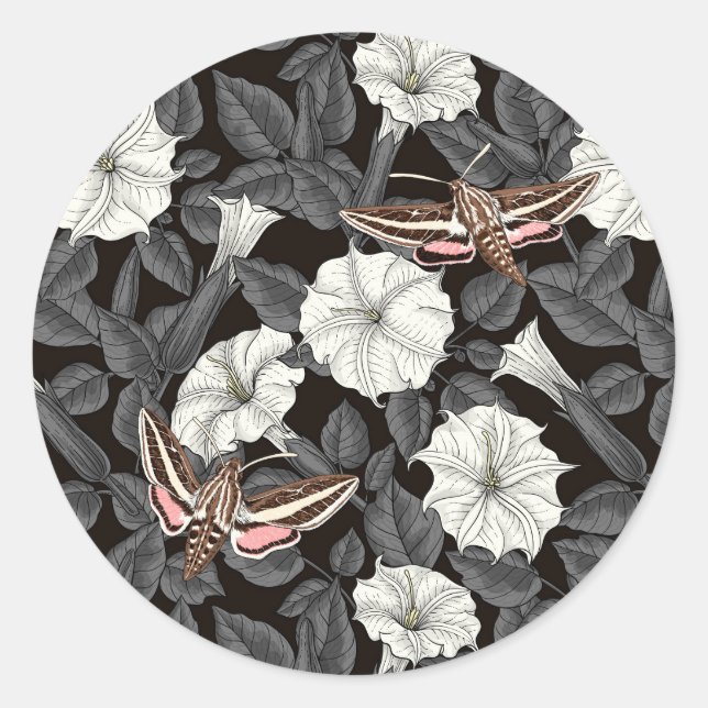 Moonflowers and sphinx moths 2 classic round sticker (Front)