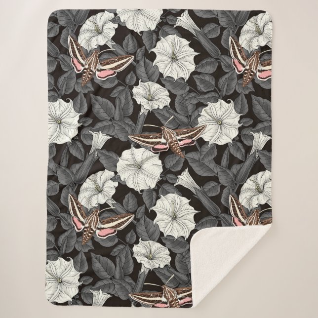Moonflowers and sphinx moths 2 sherpa blanket (Front)