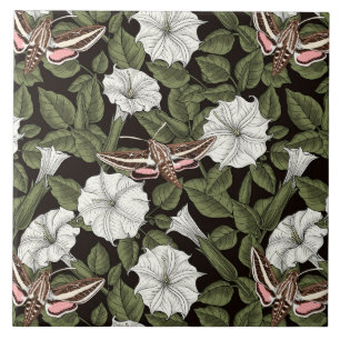 Moonflowers and sphinx moths tile