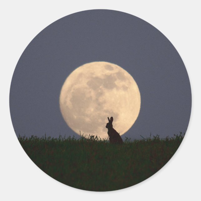 Moongazer.JPG Classic Round Sticker (Front)