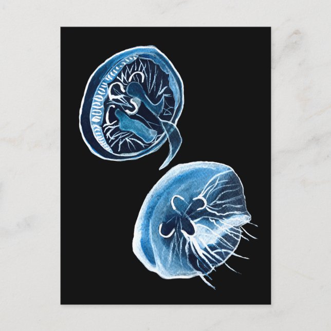 MoonJellyfish watercolor art Postcard (Front)