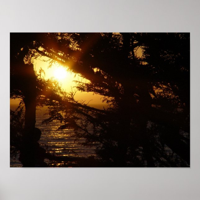 Moonlight at Moonstone Beach Poster (Front)