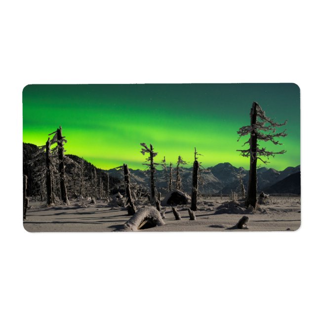 Moonlight Aurora (Front)