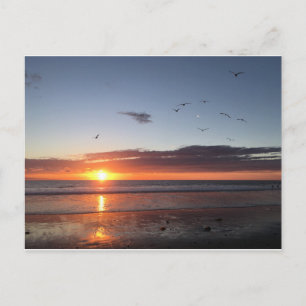 Moonlight Beach Sunset Postcard