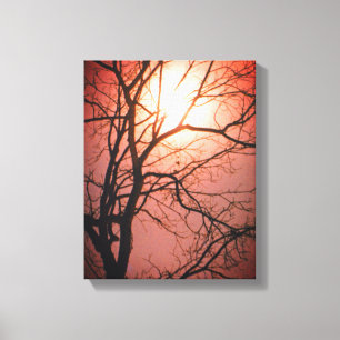Moonlight Canvas Print