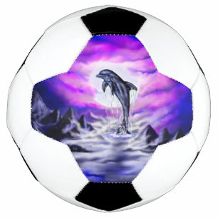 Moonlight Dolphin Soccer Ball