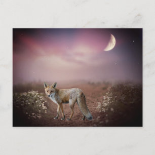 Moonlight Dream Fox Scene  Postcard