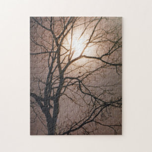 Moonlight Dream Jigsaw Puzzle