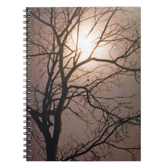 Moonlight Dream Notebook (Front)