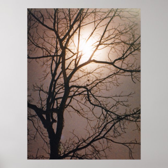 Moonlight Dream Poster (Front)