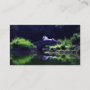 moonlight dreams business card