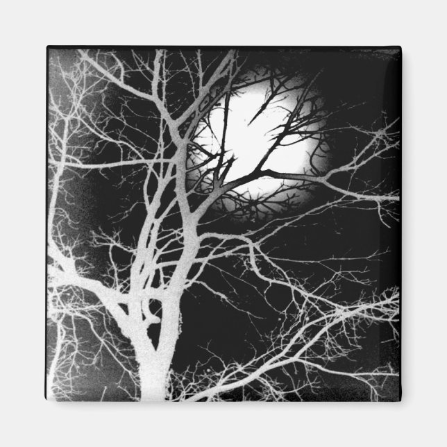 Moonlight Magnet (Front)