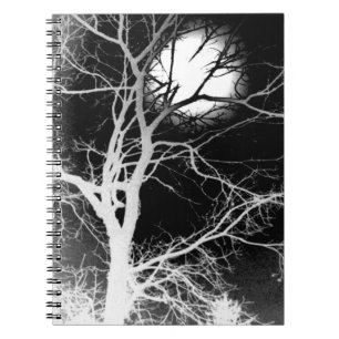 Moonlight Notebook