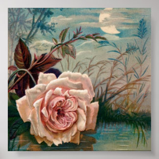 Moonlight Rose Serenade Poster