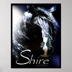 MOONLIGHT SHIRE Poster