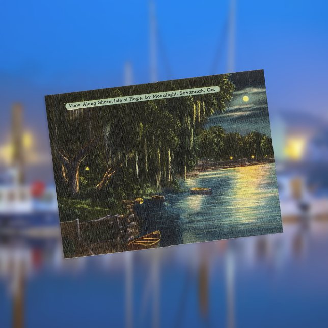 Moonlight Shore Isle of Hope Savannah GA retro Postcard (Creator Uploaded)