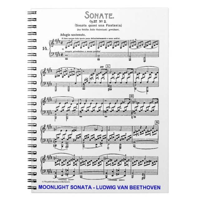 Moonlight-Sonata-Ludwig-Beethoven Notebook (Front)