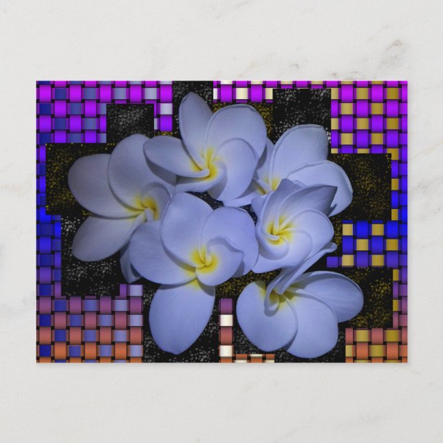 Moonlight Stardus Plumeria tWeave Postcard (Front)