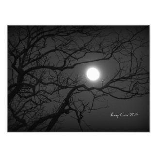 Moonlight through the trees photo print