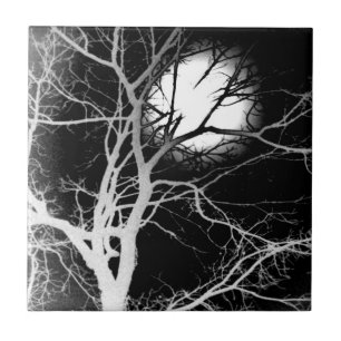 Moonlight Tile