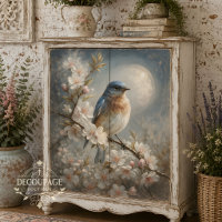 Moonlit Bluebird Song 2