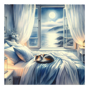 Moonlit Coastal Bedroom with Sleeping Cat Photo Print