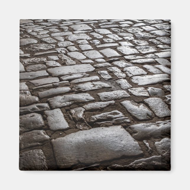 Moonlit Cobblestones Magnet (Front)