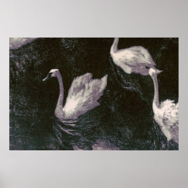 Moonlit Swan Lake Poster (Front)