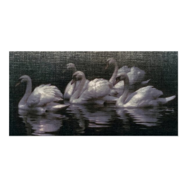 Moonlit Swan Lake Poster (Front)
