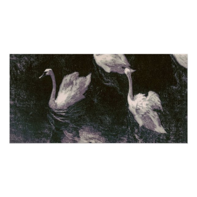 Moonlit Swan Lake Poster (Front)