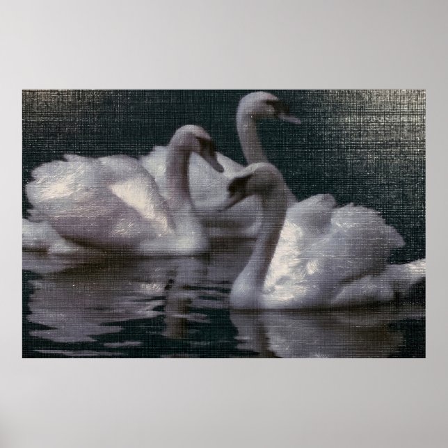 Moonlit Swan Lake Poster (Front)